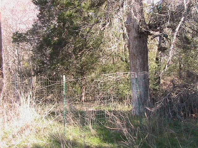 Waggoner Cemetery, Rusk County, Texas