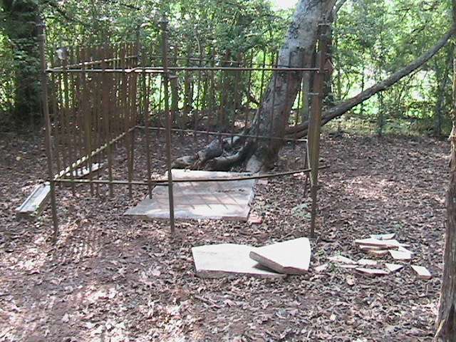 Watkins grave, Rusk County, TX