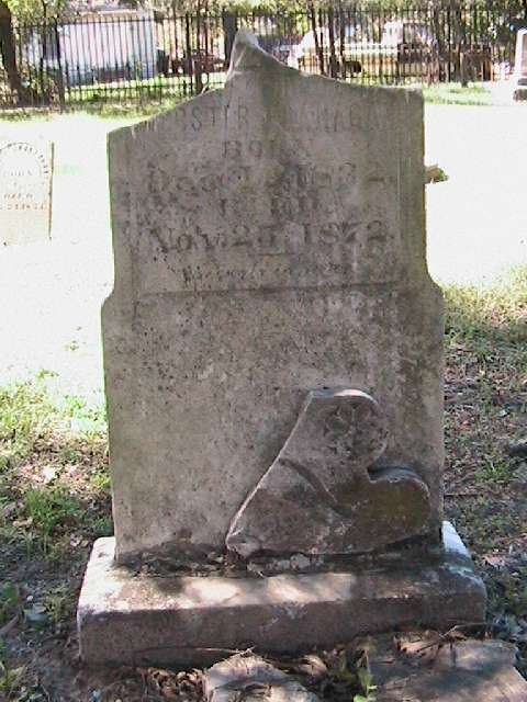 Lizzie