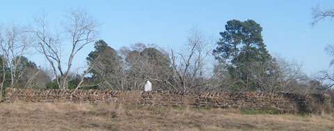 cemetery view