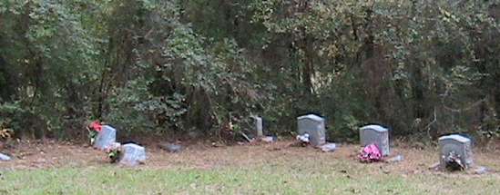 Tudman cemetery view, Rusk County, Texas
