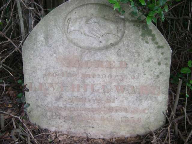 Levi Ware, Rusk County, Texas