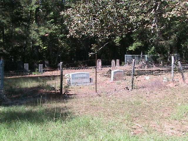 Wiggins cemetery view, Rusk County, TX